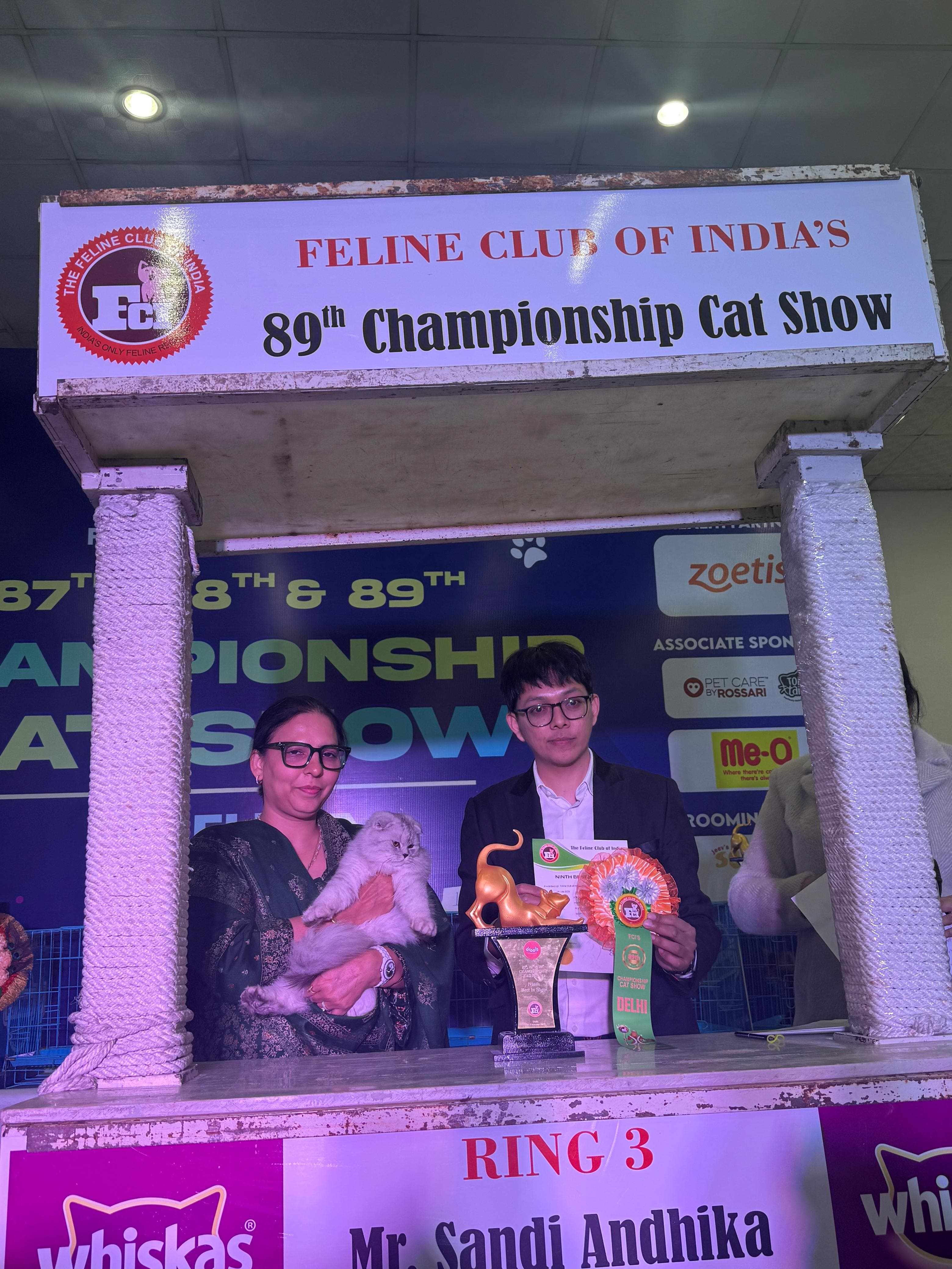 Grand Champion Khan Kittens cat